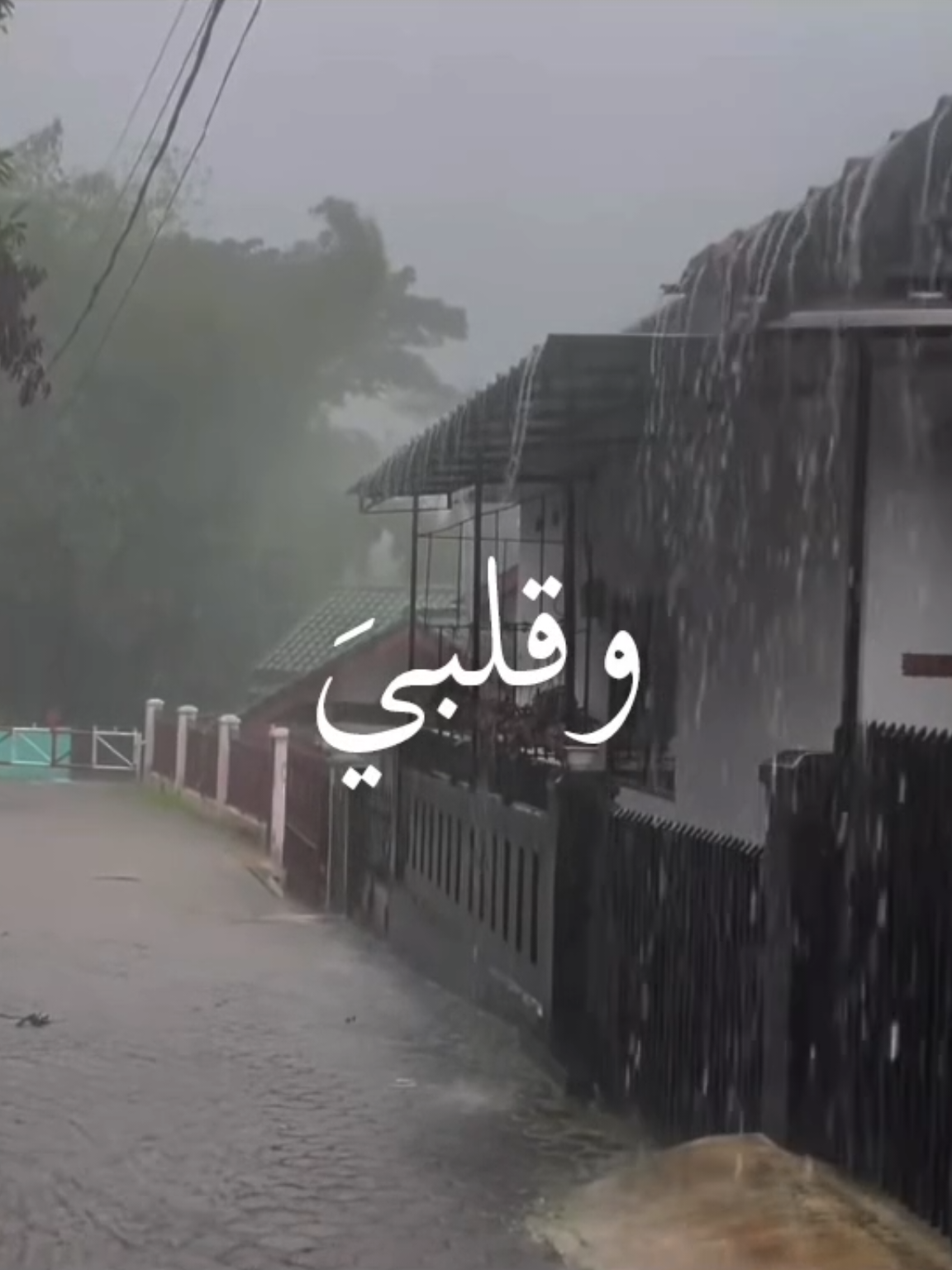 حياتك دنيا مهجورة كاضم الساهر #كاضم_ساهر #Sing_Oldies #فيديوهاتي_تصاميمي🎶🎬 #طربيات_الزمن_الجميل_🎼🎶🎻♥️🌹 #هواجيس 