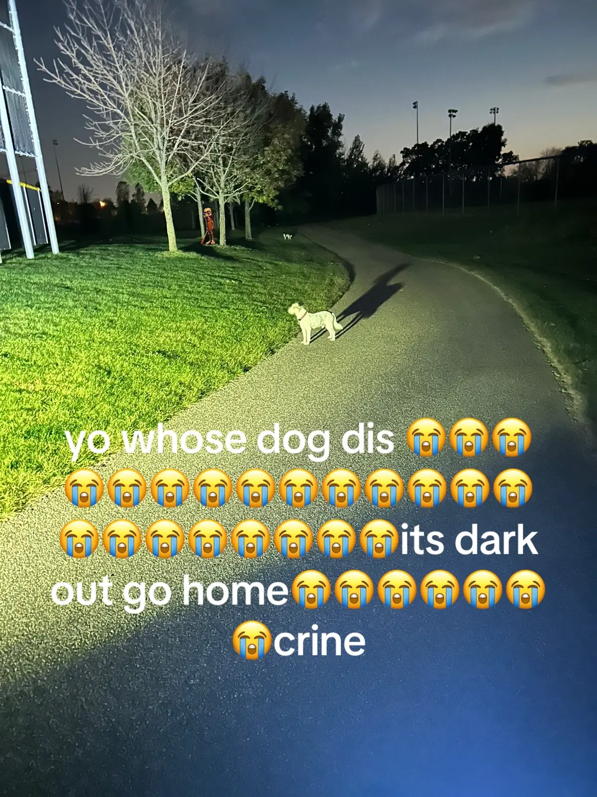 #triplet #tungtungtungsahur #fyp 