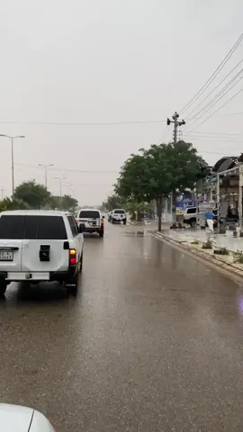 #مامشێروهەموودنیا  گیان ئەوجەوە تایبەتە بەرەومدامە😁