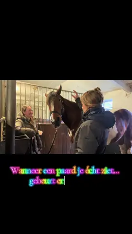 Gister had ik zo’n bijzonder moment tijdens de healing… Hij duwde zijn neus zacht tegen mijn gezicht, alsof hij wilde zeggen: dankjewel. Die puurheid, die verbinding… dat raakt me elke keer weer. Zo dankbaar voor dit soort momenten. 🤍 Wil jij ook zo’n liefdevolle healing voor jouw paard? Stuur me gerust een berichtje. ✨🐴 #paarden #fyp #paardenliefde #reikiforhorses #animalhealing 