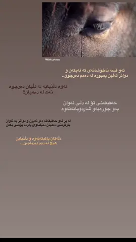 دڵەکان پاک بکەنەوە و دڵنیا بن هیچ لە دەم دەرناچێ..🙌🏻#payman2 #fypage #🤎 