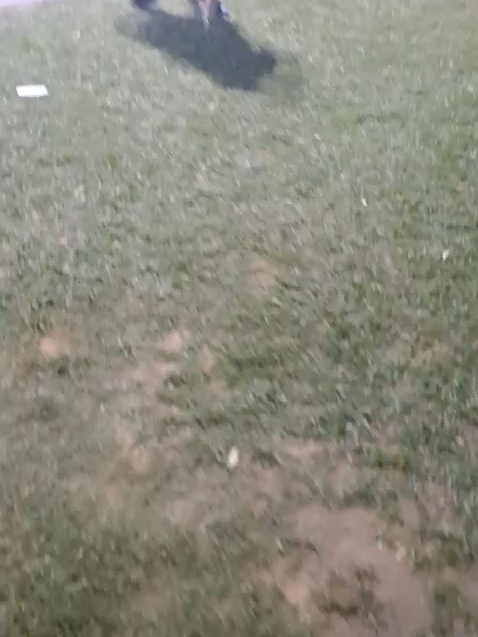 SABORES DEL MUNDO EN ZARATE, visitamos un puestito de tortas y nos atendieron dos reinas. @saboresdelmundo @zarate @cultura