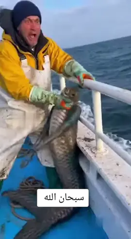 #سبحان # الل#شئ /لايصدق