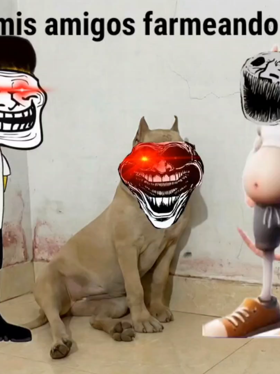 yo y mis amigos farmeando aura ☠️‼️ #calzoski #phonk #trollface #fypdong #fypppp 