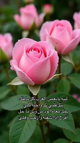 #يامرحباااااا🧡 #الغلا #اكسبلورexplore 