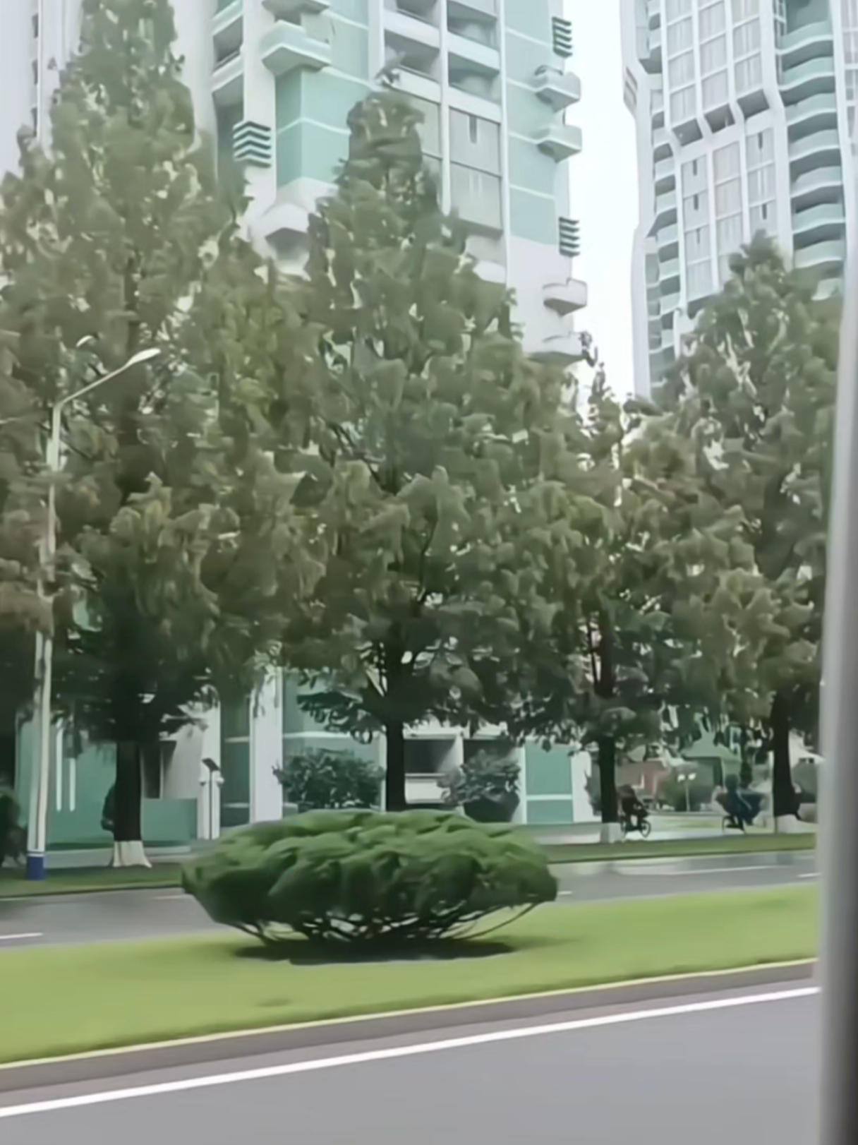 🇰🇵 Triều Tiên khách du lịch ngồi xe bus dạo phố #korea #travel #dailylife #street #scenery @Cô Phanh đi guide @武南芳 @安娜 