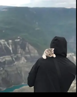 أحاول ان كون صالحا مصلحا.  .  .  . #صلي_علي_النبي_محمد_صلي_الله_عليه_وسلم #اللهم_صلي_على_نبينا_محمد #صلوا_على_رسول_الله 