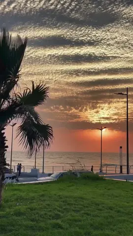 #أناشيد بدون موسيقى #وكأنها من بهاؤها ولحسنها #🤎🤎🤎🤎 #اكسبلورexplore #دمتم بخير وعافية 🤍🕊️