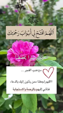 #دعاء_الفجر #شهر_جديد  #اللهم_فرج_همومنا_واصلح_احوالنا #يارب_فوضت_امري_اليك #اللهم_صلي_على_نبينا_محمد 