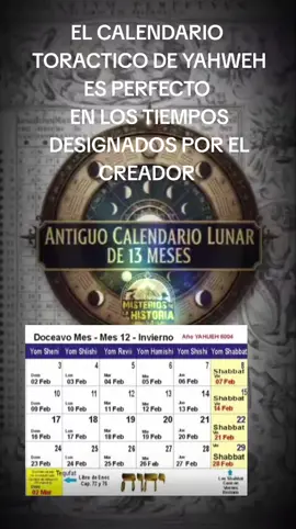 #creatorsearchinsights #apartados 