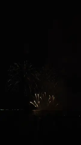 🥹🥹#พลุพัทยา🎆🎇 