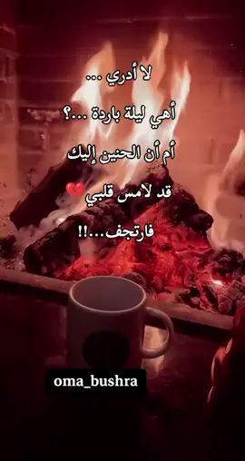 #ام #كلثوميات_الليل_☕🎼 #فرنسا🇨🇵_بلجيكا🇧🇪_المانيا🇩🇪_اسبانيا🇪🇸 #oma_bushra 