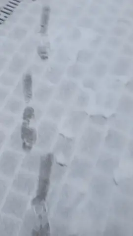 no nie wiem jakiegoś fryderyka spotkałem #freddyfazber #fnaf #robota #spacer #piwo 