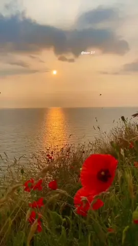 #بداية_شهر_جديد #صباح_الخير #محظوره_من_المشهدات_ولاكسبلور #اللهم_امين_يارب_العالمين 