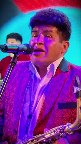 Osito del amor #bolivianosenbrasil🇧🇴🇧🇷 #brasil #saopaulo 