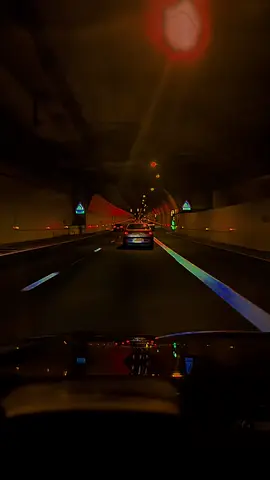 #🌹🌹🌹🌹🌹🌹🌹🌹 