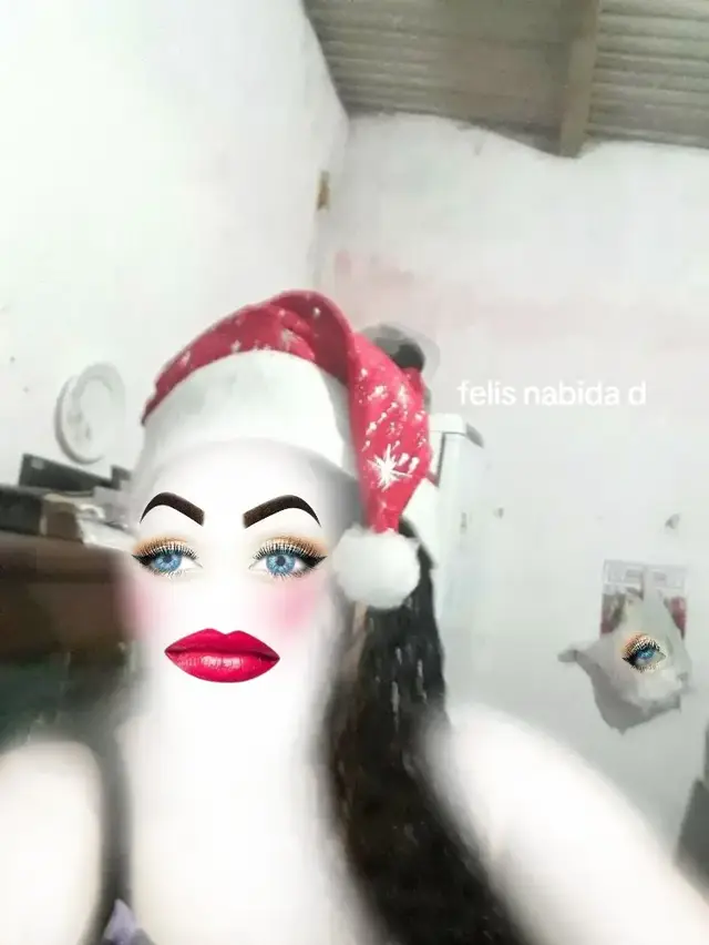 felis nabida d