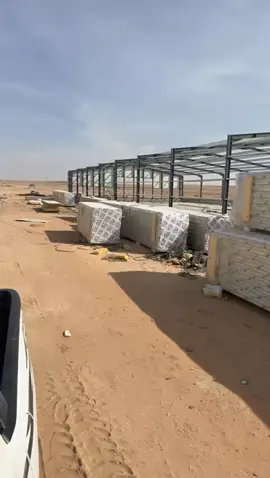 #دواجن المجمعه شقراء لفلاج وادي الدواسر وجميع مناطق المملكة 