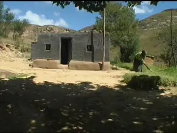 #creatorsearchinsights 