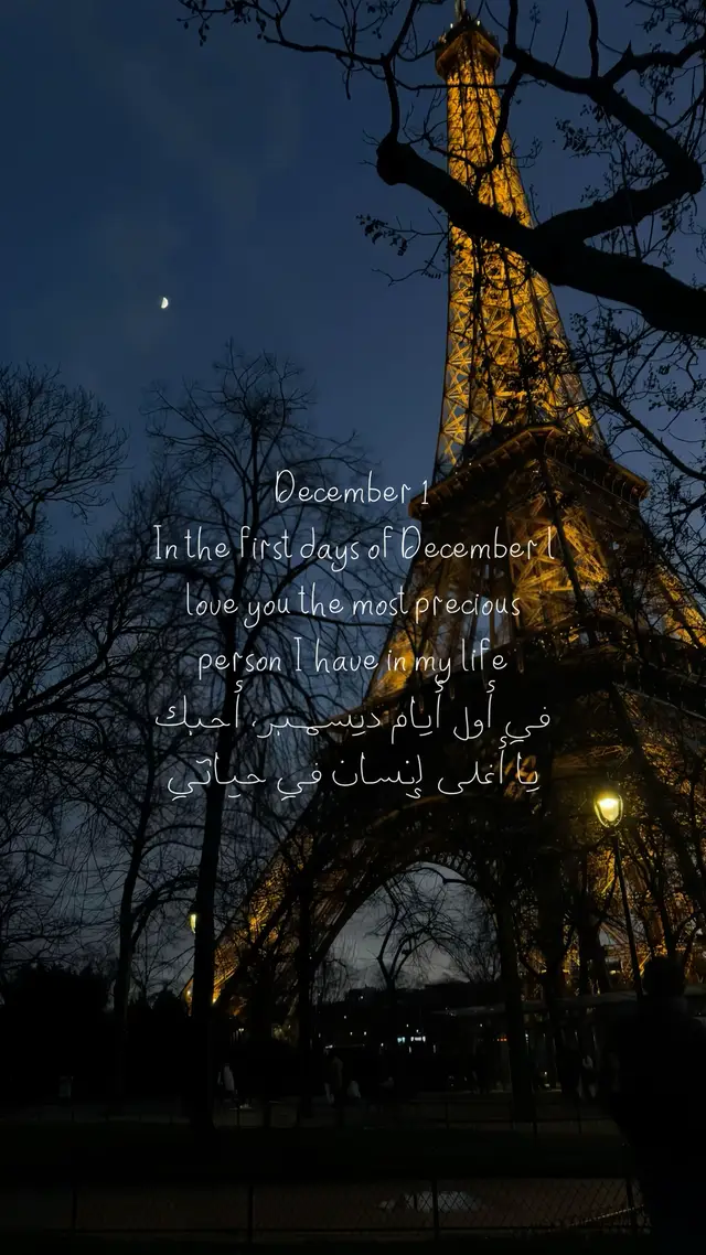 #december #fypシ #foryou #viral #4u 