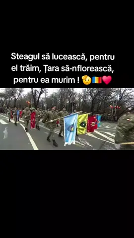 #NicusorDan #romania🇷🇴foryou🤗 #moldova🇲🇩 #bucurestiromania🇷🇴 #romania🇷🇴 