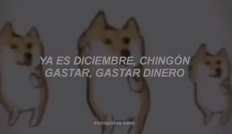 Ya es Diciembre 🎅 🎄 😂#navidad #meme #merrychristmas 