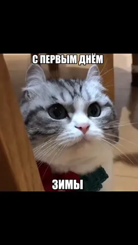 всех поздравляю #komaru #komarusalt 