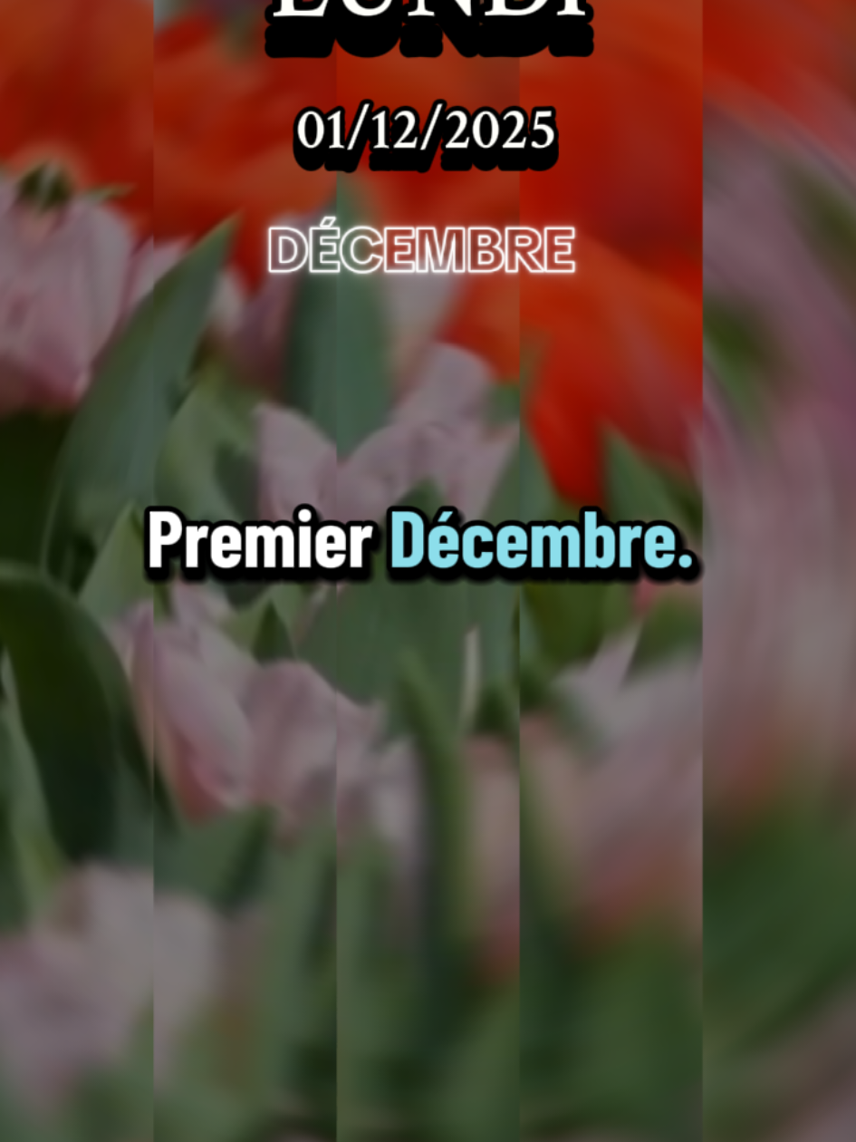 #creatorsearchinsights Commence ton mois de décembre avec cette prière #Dieu #priere #prieredumatin #prierechretienne 