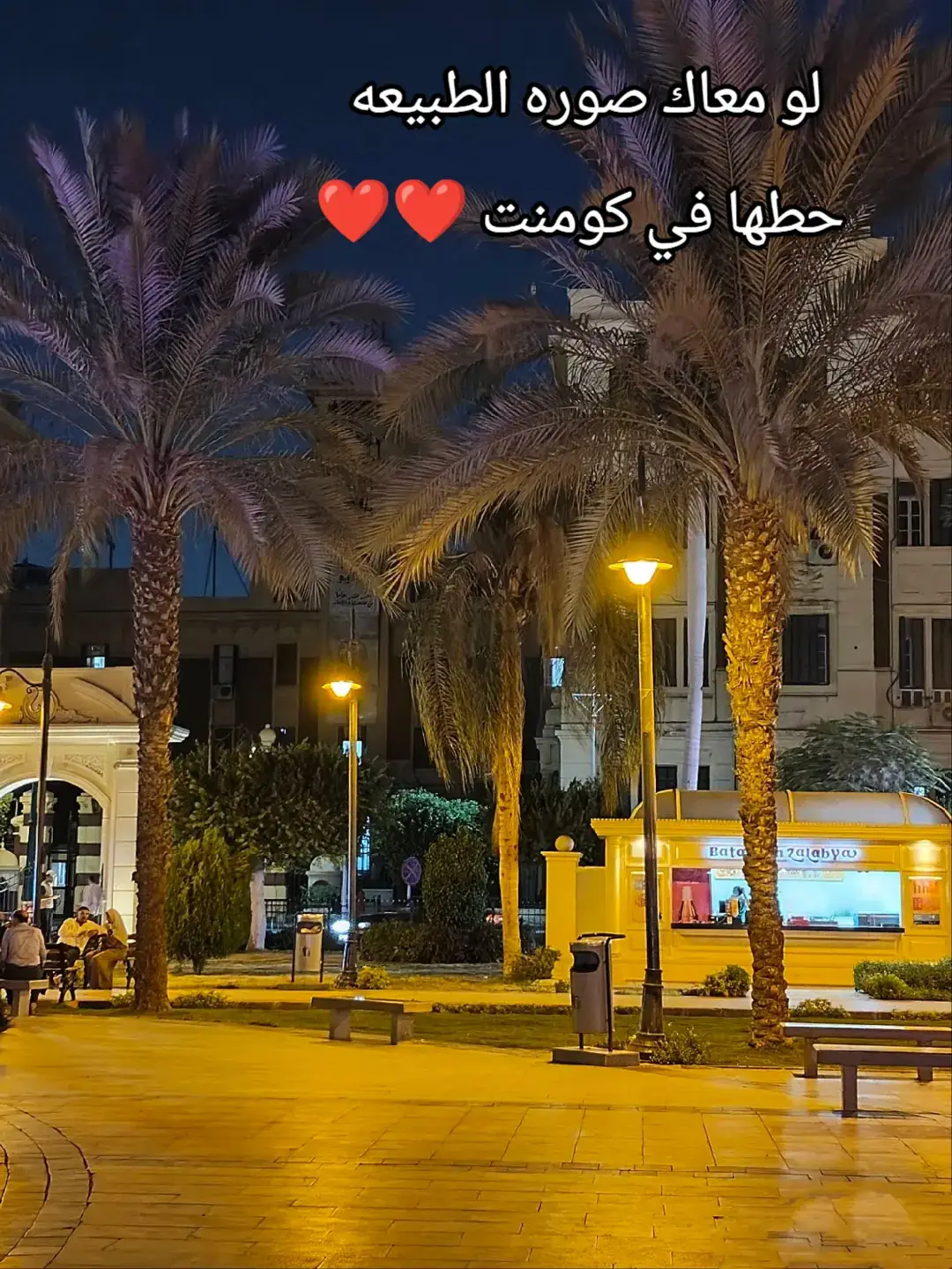 مش اجمل منك تلقي راحه بال كدا وانتا بتتفرح ع طبيعه ♥♥♥♥ #مدينة_السادات🤍♥  #اسكندريه  #صوره_الطبيعه 