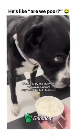 He’s like we “poor.” 😭 