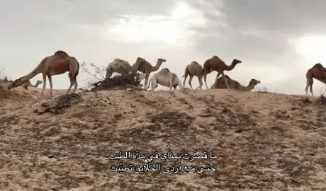 #اكسبلورexplore #الشعب_الصيني_ماله_حل😂😂 #شعر #قصايد #fypシ゚ 