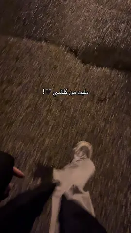 #بورصه_كنت_ميدان #اكسبلورexplore 