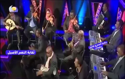 #سيد_عبدالعزيز_شاعر_العبقرية #مشاهير_تك_توك_المخرج_الفاضل_سليمان