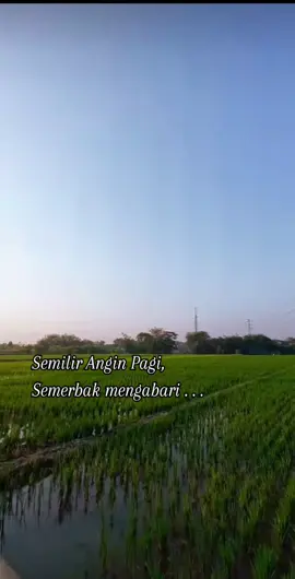 #fyppppppppppppppppppppppp #selflove❤ #senyumcantik #makna 