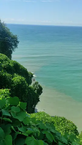 #природа #горы #море #растительность #трава