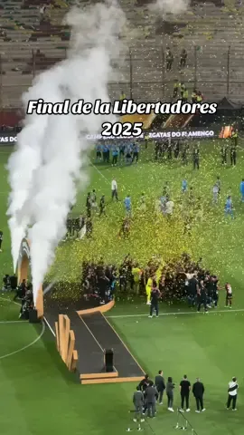 Vlog de la Final de la Libertadores 2025 🌟 #libertadores #flamengo #palmeiras #monumental #libertadores2025 