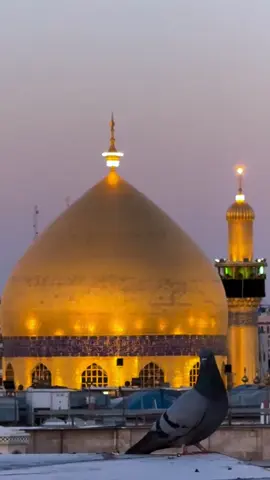 #إمام_الأولين_والآخرين #سيدنا_علي_بن_أبي_طالب_عليه_السلام