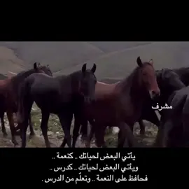 #اكسبلور#مشرف#foryou#fypage#fyp 