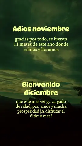 #holanoviembre #CapCut 