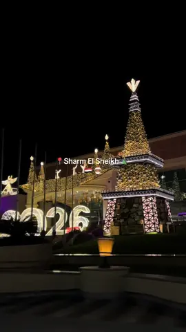 🇪🇬 🎄 #nikitasharm🌴 #sharmelsheikh #sharm #egypt #SharmElSheikh 