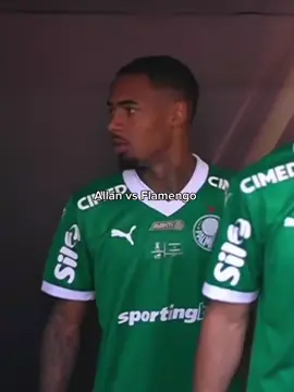 Allan vs Flamengo  #palmeiras #flamengo #fyp #fouryoupage #allan 