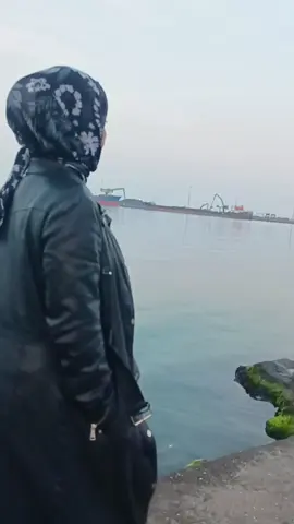 الحياة لا تعطيك الحق في الاختيار في بعض الأحيان  لن تعيشها كما تريد ، بل كما يتوجب عليك.#العراق🇮🇶 #تركيا #فلسطين #دبي #شعب_الصيني_ماله_حل تعيش.... تعيش