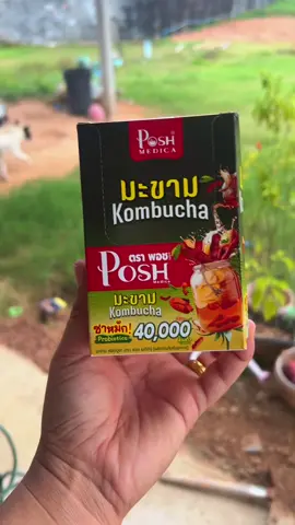 #พอชเมดิก้า #พอชไฟเบอร์ #มะขามคอมบูชะ 