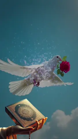 #اللهم_اجعله_بداية_أجمل_الأقدار🤍 #بداية_شهر_جديد #بدايه_خير_ان_شاء_الله #دعاء #صباح_الخير دعاء صباح يوم الاثنين 