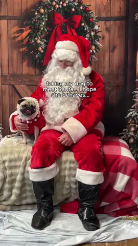 She, in fact, did not… sorry Santa 😅😅 #pug #pugsoftiktok #dogsoftiktok #funnydogvideos #santa  Dog meeting Santa 