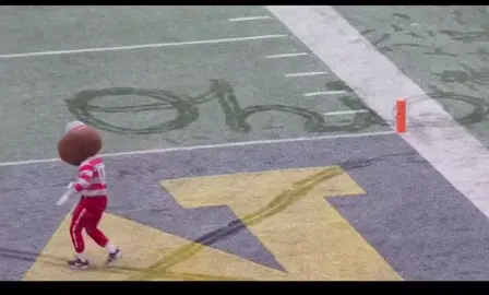 Who needs to plant a flag when your mascot takes care of it 😂. #brutusbuckeye #gobucks #brutusdoingbrutusthings #thebestmascotever @Brutus Buckeye 