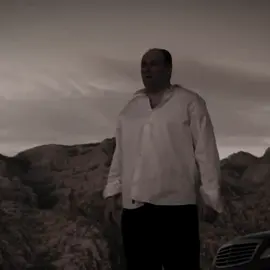 i get it // #targetaudience #multifandom #fyp #edit #sopranos 