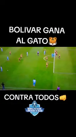 Bolivar gana al gato😇 #clubbolivar💙 #bolivarista💙💙💙 #tigre #campeón #clasico  @Club Bolívar  @La Vieja Escuela  @bolivar.store  @Bolívar mi gran amigo 1925 