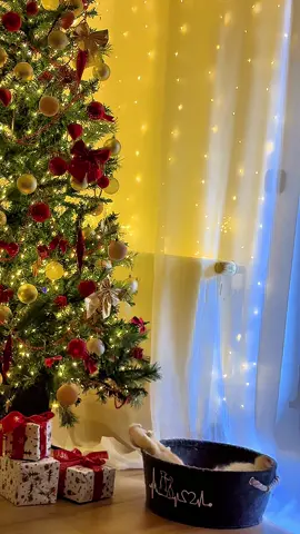 Psrt3😺 #Пирог❤️ #Британец 