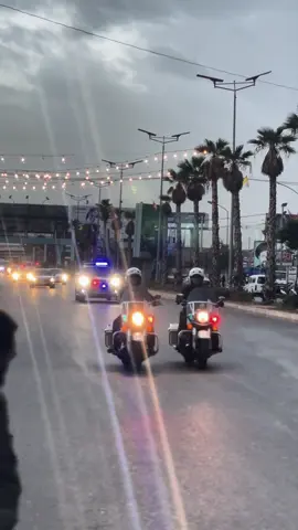 #نبيه_بري💚⚔️ #fouryoupage #fyp #حركةامل💚 #fire 